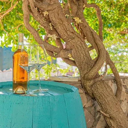 Nocturno * Rogoznica (Sibenik-Knin)