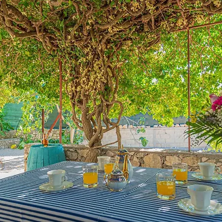 Lägenhet Nocturno Rogoznica (Sibenik-Knin)