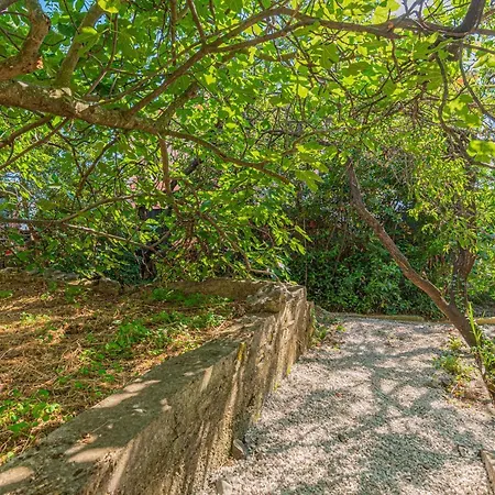 Nocturno Appartamento