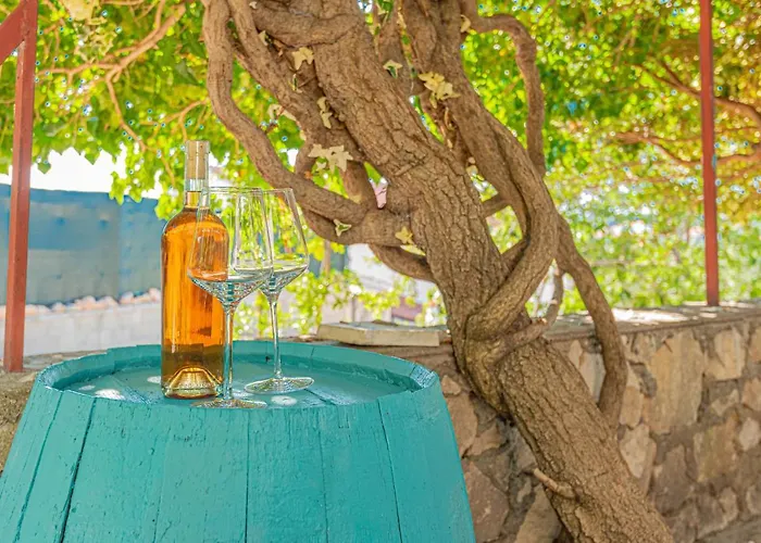 Nocturno * Rogoznica (Sibenik-Knin)