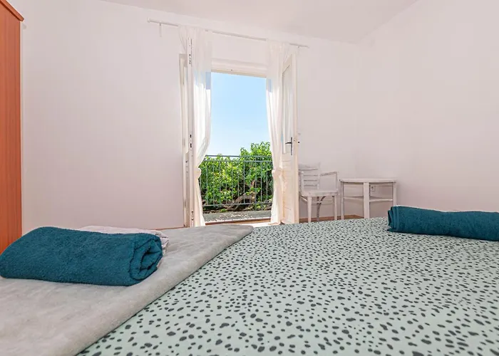 Nocturno Rogoznica (Sibenik-Knin)